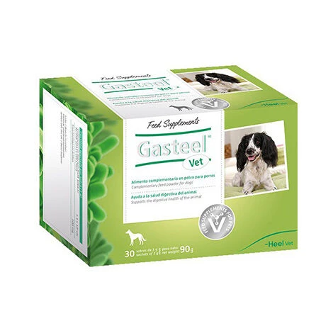 HEEL Fersen -Gasteel -Tierarzt Erg_nztes Essen Zur Bevorzugung Von Verdauung Und Verdauung Von Hunden, Box 30 Umschl_ge X 3 Gr 1 HEEL Fersen -Gasteel -Tierarzt Erg_nztes Essen Zur Bevorzugung Von Verdauung Und Verdauung Von Hunden, Box 30 Umschl_ge X 3 Gr