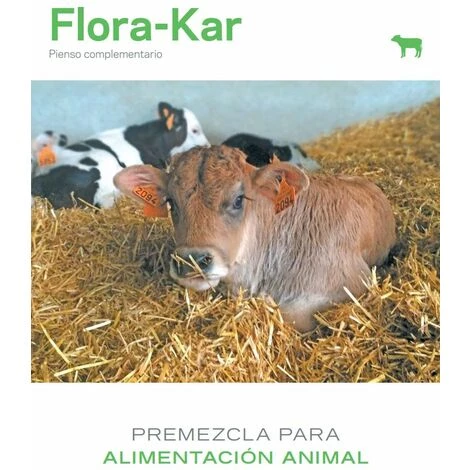 KARIZOO Flora-Kar-Komplement_rfutter FÙr K_lber, 500 G (10 X 50 G) 2 KARIZOO Flora-Kar-Komplement_rfutter FÙr K_lber, 500 G (10 X 50 G) – Bild 2