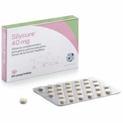 Karizoo Schutzerg_nzung Hephah Funktion