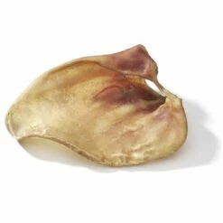 Camon Schweinefleischohr