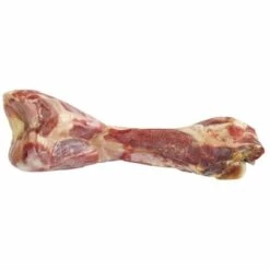 Camon Zwei Medienstaubsauge Hames