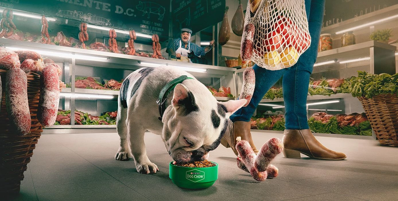 Hundefutter Onlineshop 1 Hundefutter Onlineshop -Hundefutter Onlineshop 2 1